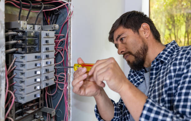 Best Licensed Electrician  in Harrison, MI